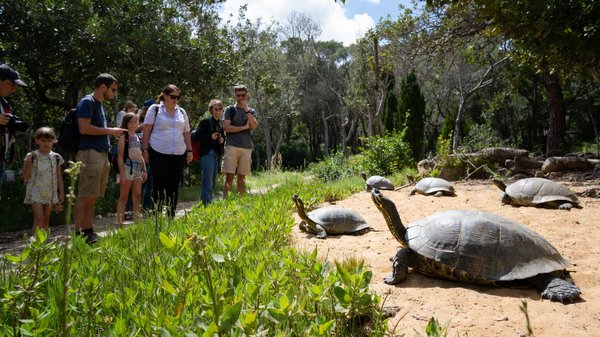 Découvrez les meilleures activités en famille en corse du sud